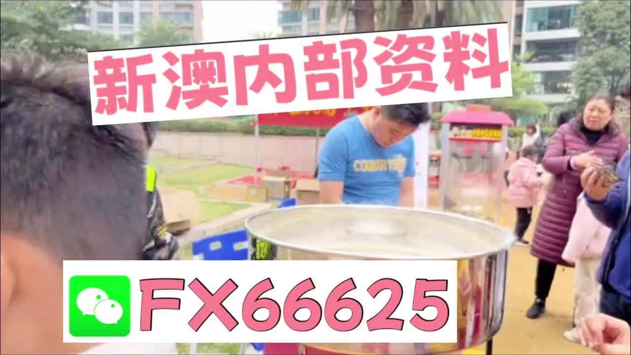 新奧2025正版資料大全，全面解析與深度探索，新奧2025正版資料大全，全面解析與深度探索揭秘