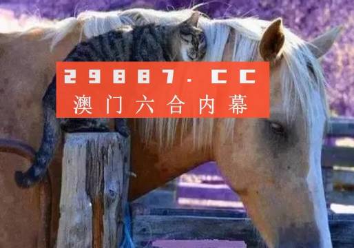 深度解析與探索 第16頁