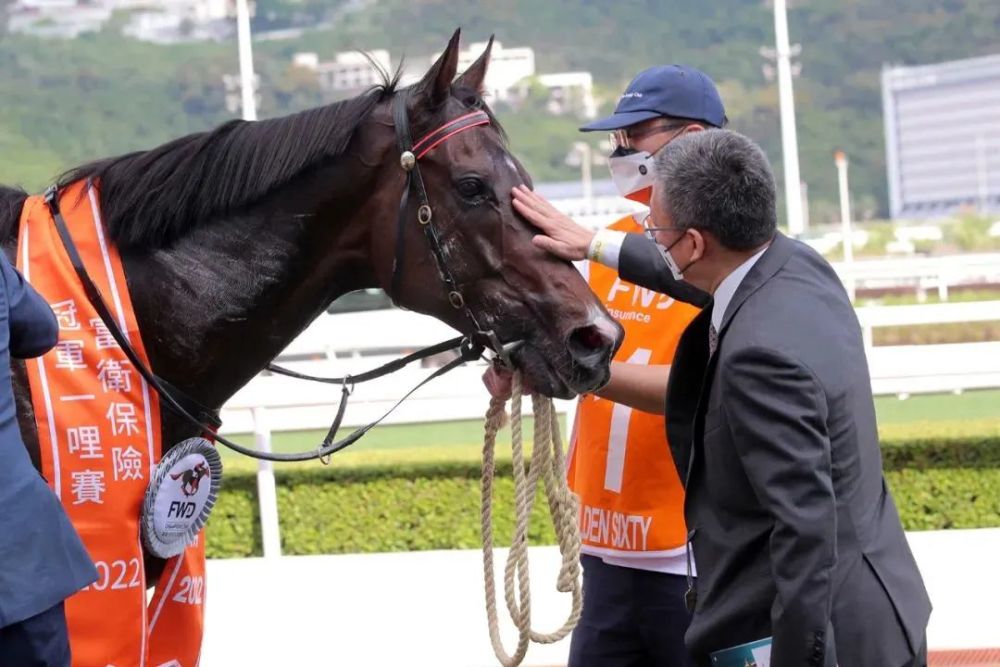 探索香港馬官網，一站式體驗7777788888的精彩世界，探索香港馬官網，一站式體驗精彩世界，7777788888的魅力之旅