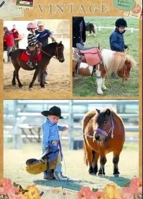 揭秘今晚澳門特馬開彩結果，四不像彩種深度解析，澳門特馬開彩結果揭秘，四不像彩種深度解析與預測