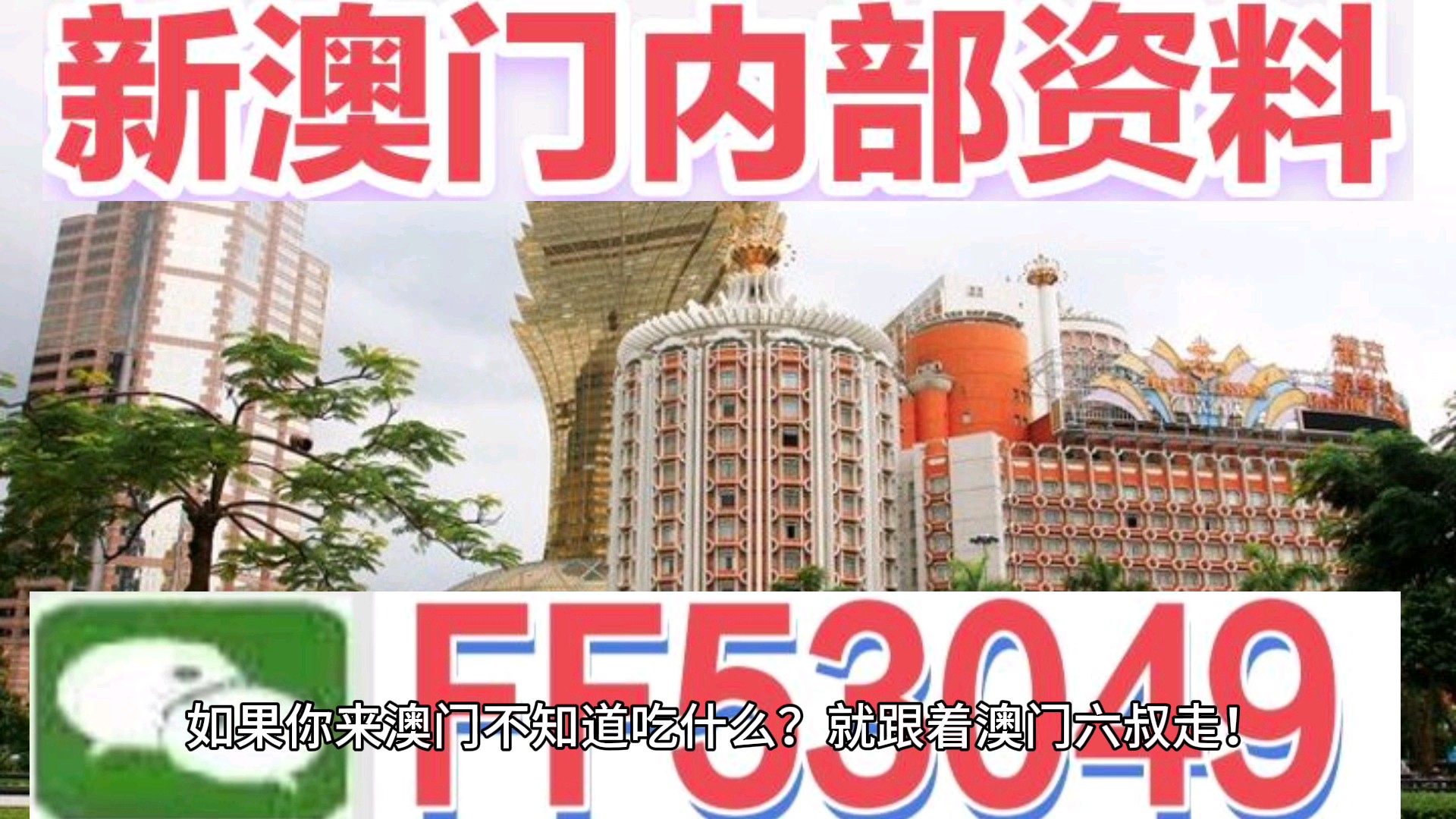 澳門今晚特馬生肖預測，探尋未來的幸運符號（2025年），澳門生肖預測揭秘，探尋未來幸運符號（特馬生肖預測 2025年展望）