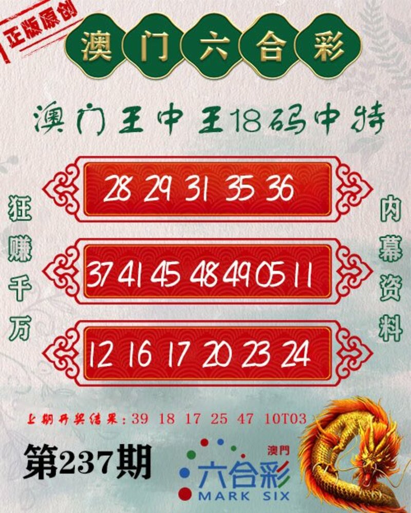 新澳門王中王期期中，探索與解析，新澳門王中王期期中，深度探索與解析