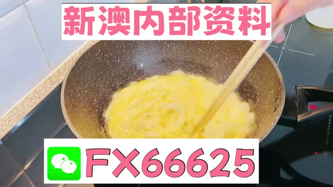 澳門九點半9點半網站——探索與體驗，澳門九點半網站，探索與體驗之旅