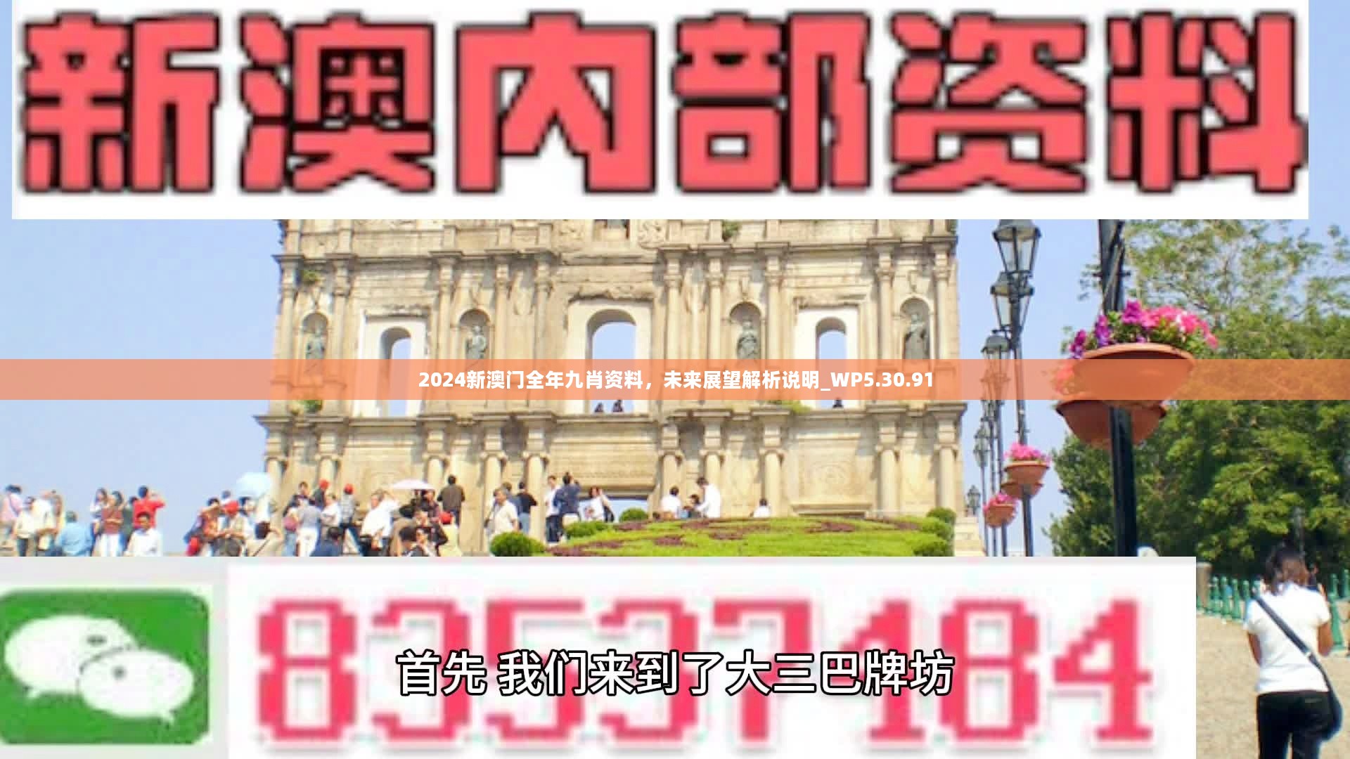 新澳門精準九肖，揭秘預(yù)測技巧與策略，揭秘新澳門精準九肖預(yù)測技巧與策略