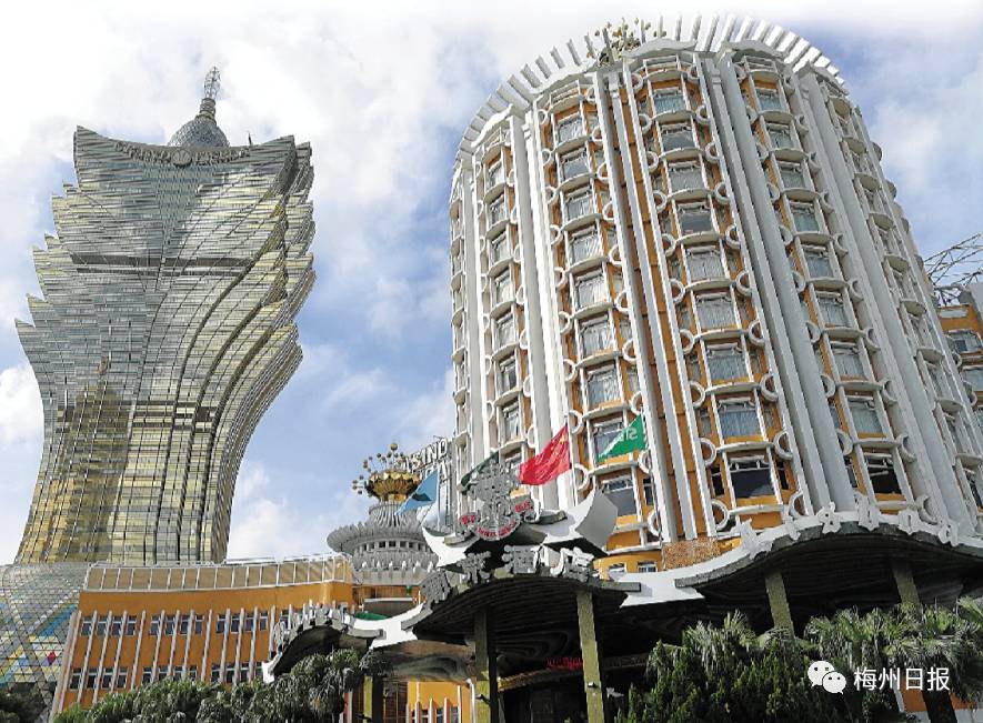 新澳門最精準——探索澳門的精準旅游魅力，澳門精準旅游魅力探索之旅