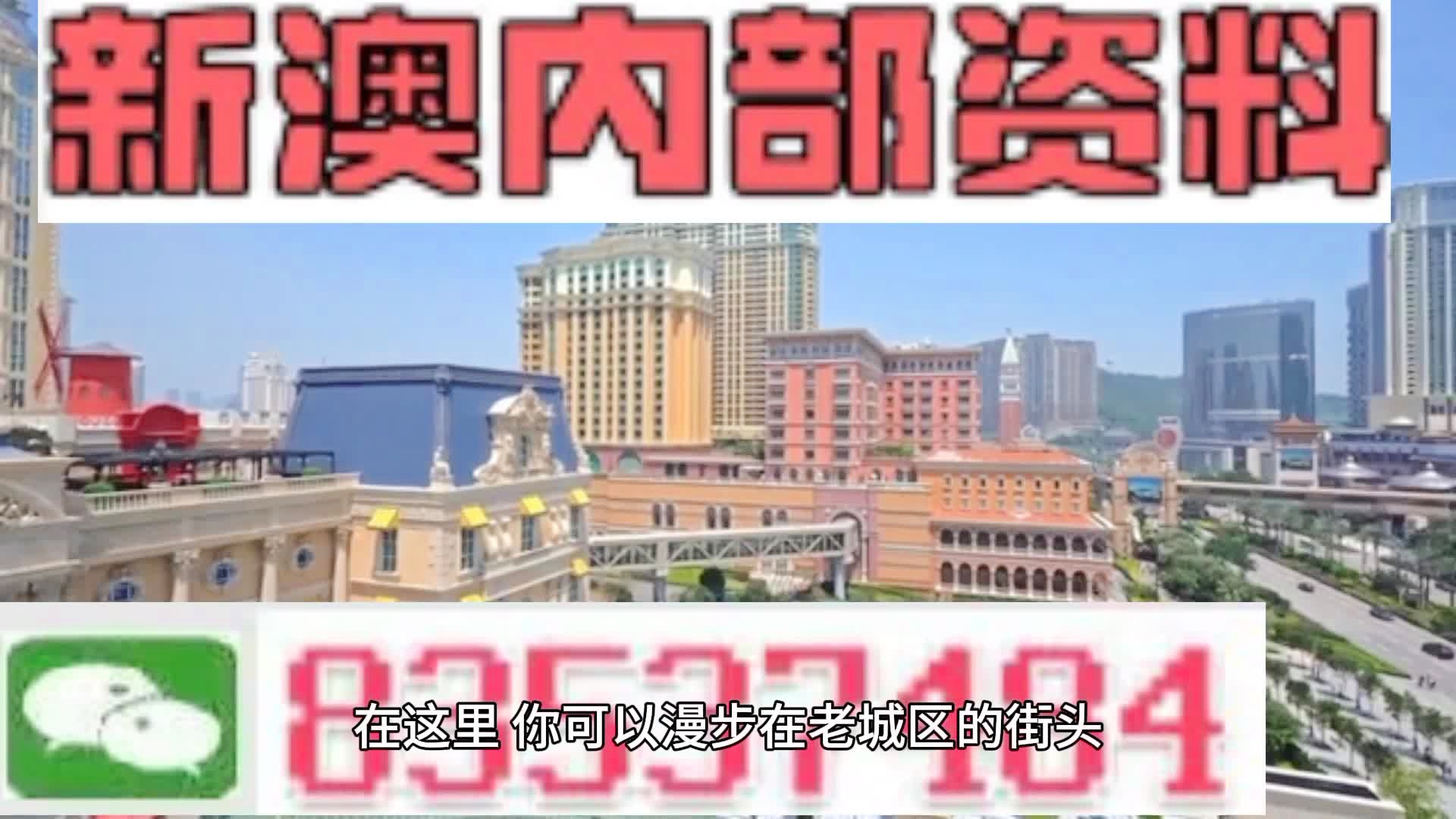 新澳門期期準精準，探索澳門的未來與SEO策略，澳門未來展望與SEO策略探索，精準瞄準新機遇