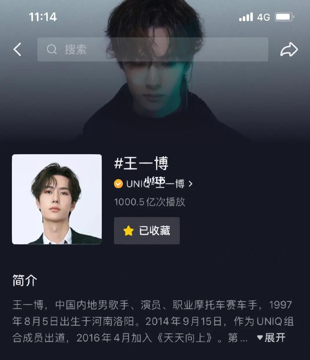 王中王一肖內部資料詳解，王中王一肖內部資料深度解析
