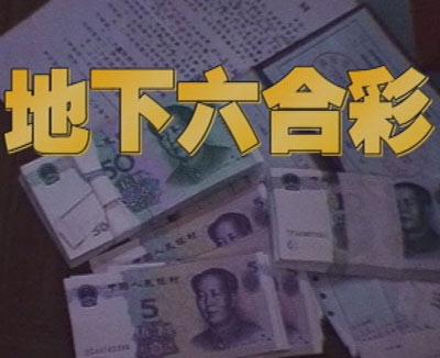 王中王一特中肖期期準，深度解析與SEO優化策略，王中王一特中肖期期準深度解析與SEO優化策略探討