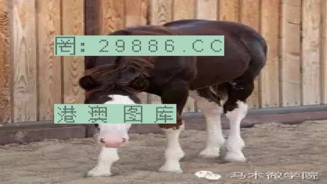 揭秘446999一肖中特馬之秘密，掌握中獎玄機！，揭秘特馬中獎玄機，446999一肖中的秘密大揭秘！