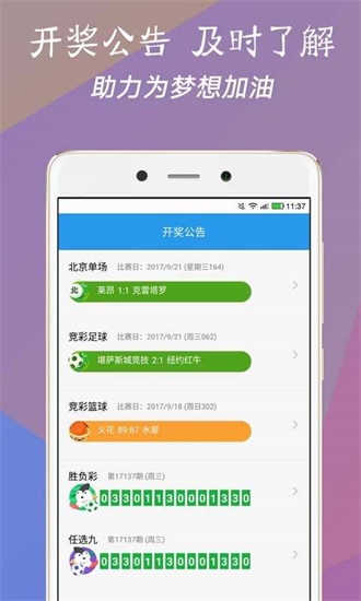 澳門今一必中一肖一碼一肖，揭秘彩票背后的秘密與策略，揭秘彩票背后的秘密與策略，澳門今一必中一肖一碼一肖探秘