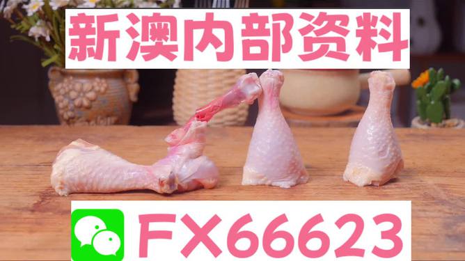 澳門一碼中精準一碼免費中特論壇，探索精準預測的魅力與優勢，澳門一碼精準預測探索論壇，優勢與魅力展現