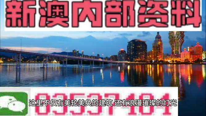 新澳新澳門正版資料，探索與解析，新澳新澳門正版資料深度解析與探索