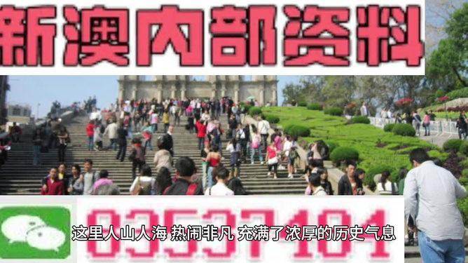 澳門最精準免費資料大全旅游團，探索澳門之旅的完美選擇，澳門最精準免費資料大全旅游團，探索澳門之旅的不二之選