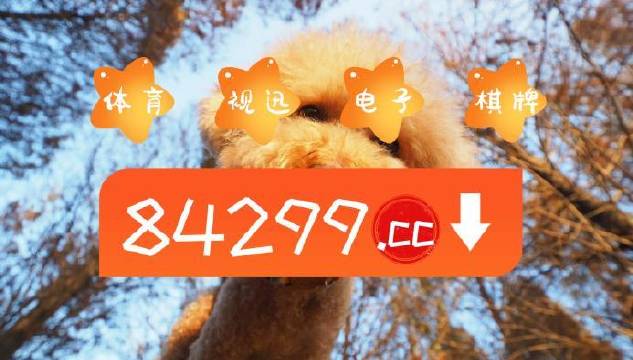 今期必中一肖一碼白小姐，揭秘彩票背后的秘密與策略，揭秘彩票背后的秘密與策略，白小姐今期必中一肖一碼解析