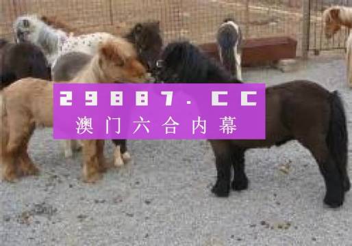 王中王平特一肖四不像圖，深度解析與SEO優化策略，王中王平特一肖四不像圖，深度解析與SEO優化策略探討
