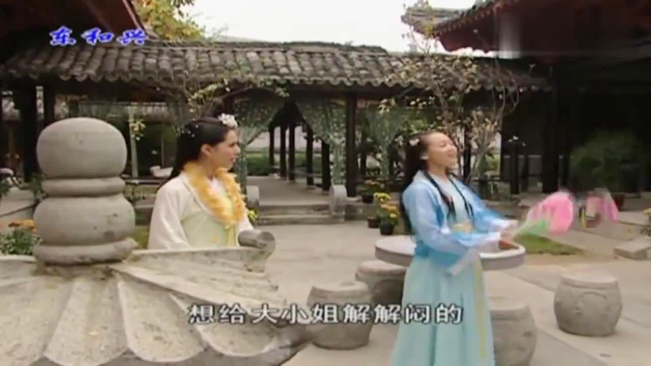 劉伯溫白小姐一肖期期準，神秘預測背后的真相，劉伯溫白小姐生肖預測揭秘，神秘預測背后的真相