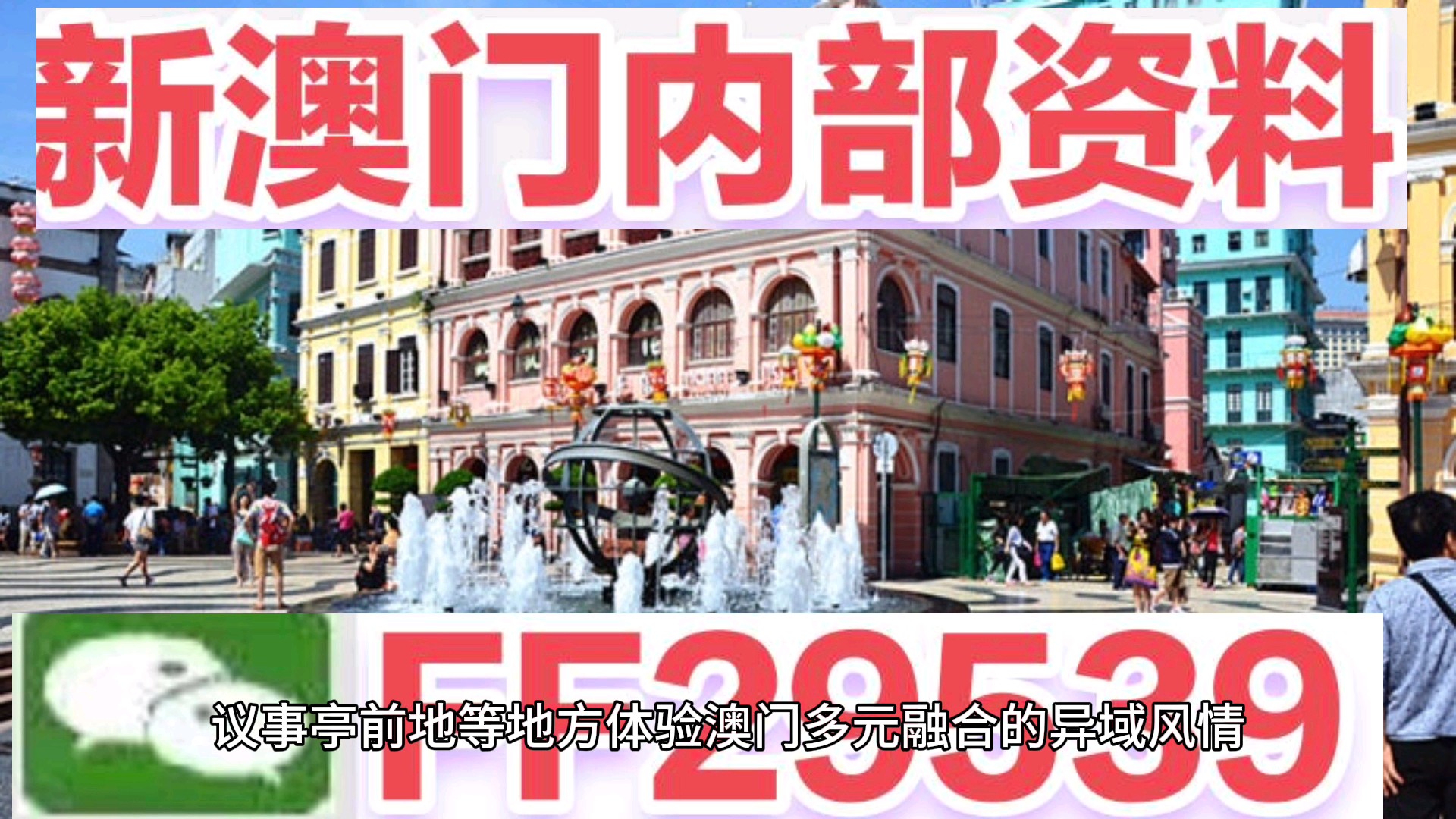 澳門今晚必開一肖一特，揭秘生肖彩票的魅力與策略，澳門生肖彩票揭秘，必開一肖一特的魅力與策略