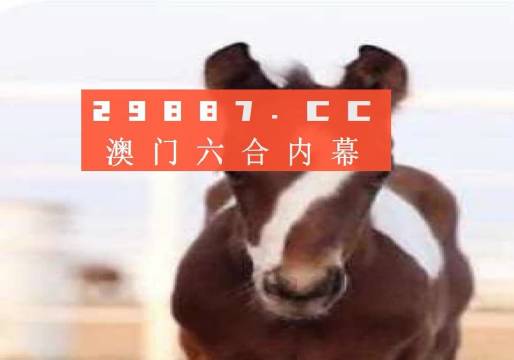 澳門必開一肖一碼安穩(wěn)，揭秘彩票背后的秘密與策略，揭秘彩票背后的秘密與策略，澳門必開一肖一碼安穩(wěn)探討