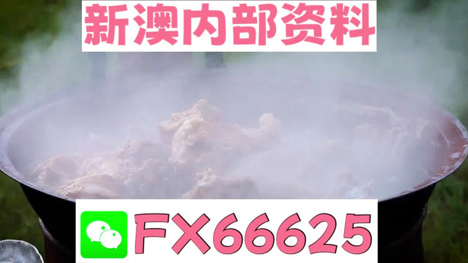 新澳全年免費資料大全，一站式獲取優(yōu)質(zhì)資源指南，新澳全年優(yōu)質(zhì)資源免費獲取指南