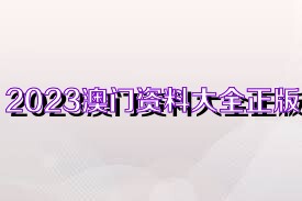 澳門資料大全正版資料免費，探索未來的澳門與2025展望，澳門未來展望，資料大全正版免費探索與2025展望