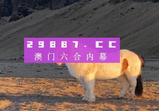 澳門彩六開獎結果第52期，深度解析與預測分析，澳門彩六第52期開獎結果深度解析與預測分析