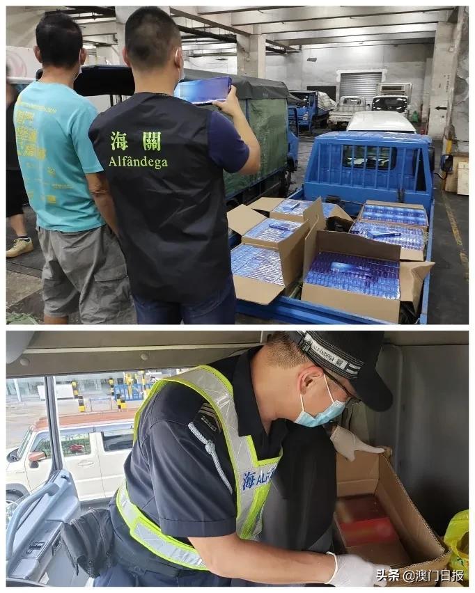 澳門今晚必開一肖080，揭秘生肖運勢與預測之謎，澳門今晚必開一肖揭秘，生肖運勢預測之謎開啟！