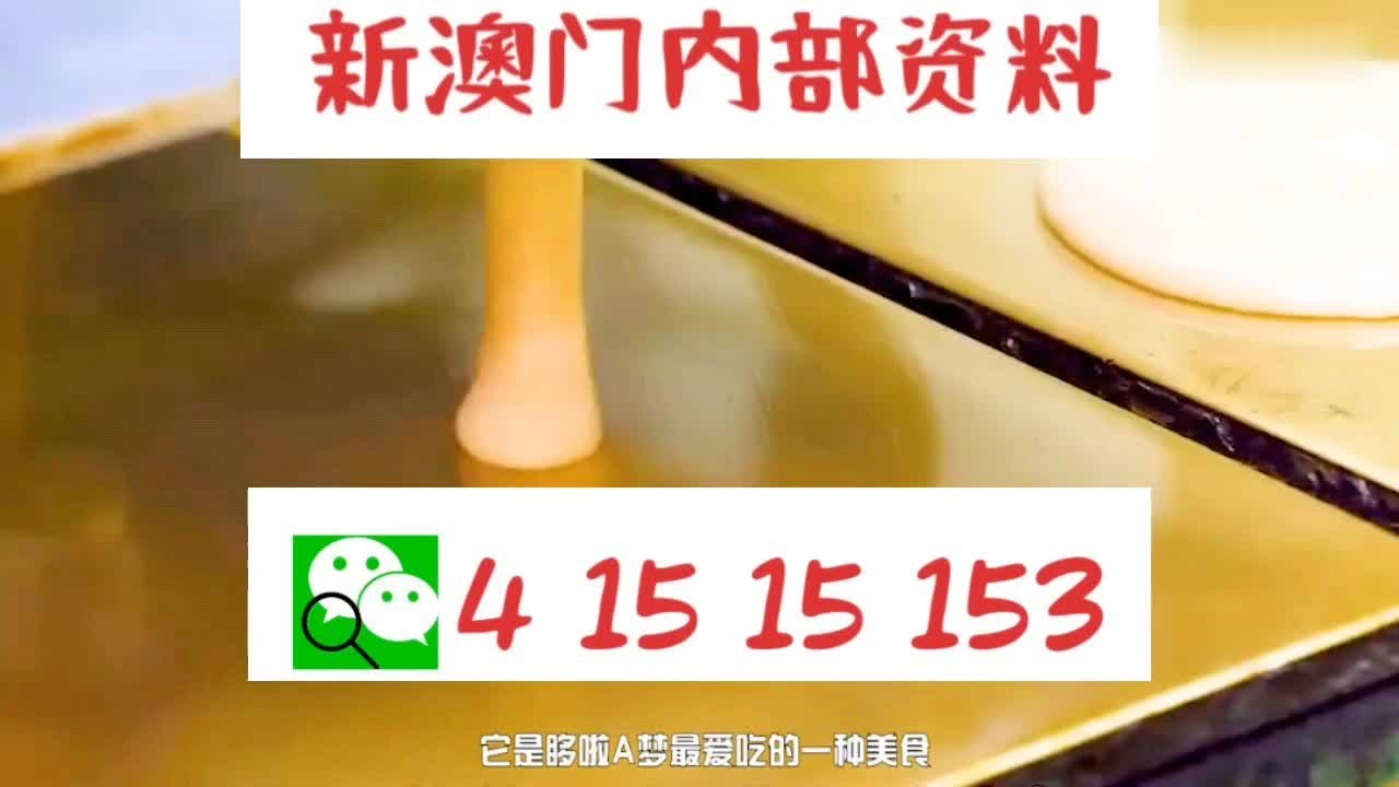 新澳門內部十碼中特，探索與解析，新澳門內部十碼中特，深度探索與解析