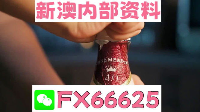 新澳門一碼一碼，揭秘精準預測的秘密與真相，揭秘澳門一碼一碼精準預測的秘密與真相