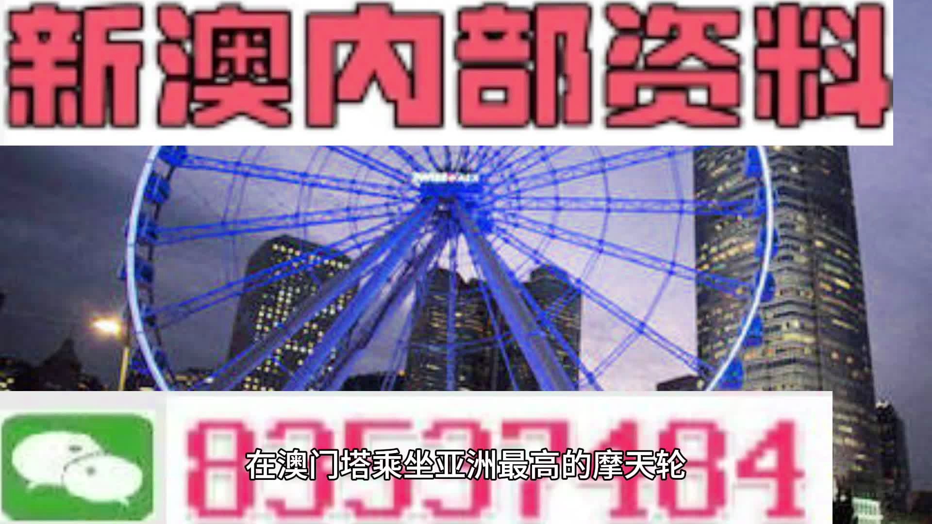 新澳門期期準，探索澳門的獨特魅力與未來發展，澳門獨特魅力與未來發展探索