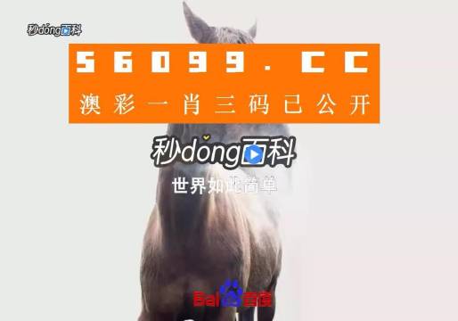 香港內部公開資料一碼，深度解析與探索，香港內部公開資料一碼深度解析與探索揭秘