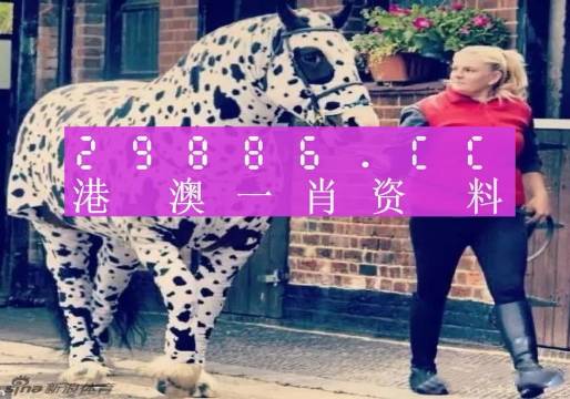 王中王一肖一特一中香港，探索關鍵詞背后的故事，香港關鍵詞背后的故事探索，王中王一肖一特一中