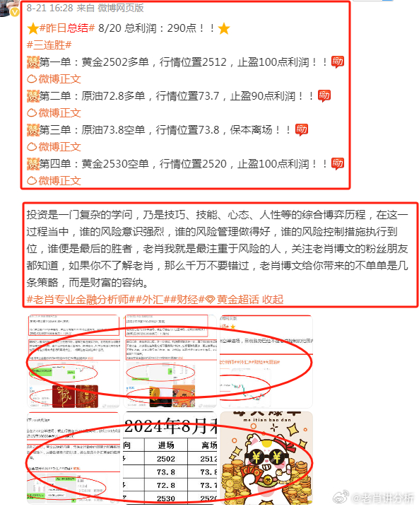 香港王中王一肖最準——揭秘精準預測的秘密，揭秘香港王中王一肖精準預測的秘密之道