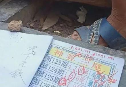 揭秘2025六開彩天天免費資料大全——獲取最新彩票資訊的寶藏之地，揭秘，2025六開彩天天免費資料大全——最新彩票資訊寶藏庫