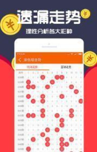 王中王一肖十，深度解析與SEO優化策略，王中王一肖十深度解析與SEO優化策略探討