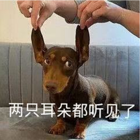 王中王四不象必中一肖，揭秘背后的秘密與策略，揭秘王中王四不象必中一肖背后的秘密與策略之道