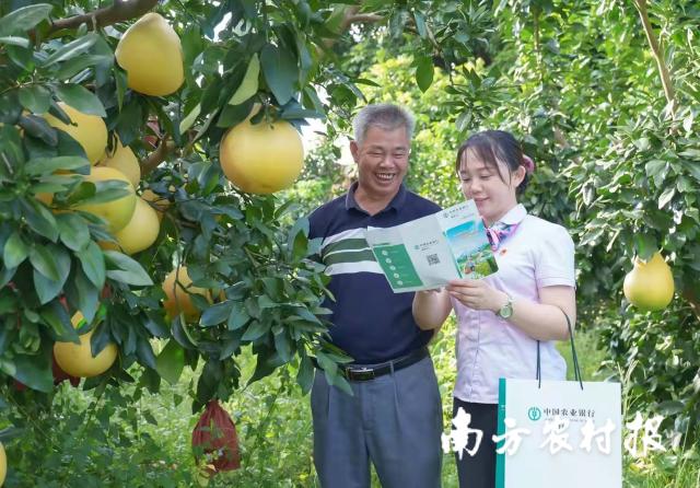 資料大全正版資料2025，一站式獲取所有你需要的信息，資料大全正版資料2025，一站式獲取所有信息總匯