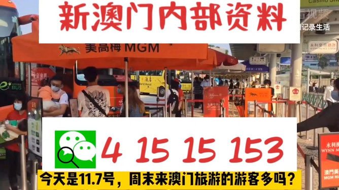 新澳今晚9點30分的精彩瞬間與SEO優化策略，新澳今晚9點30分精彩瞬間與SEO策略揭秘