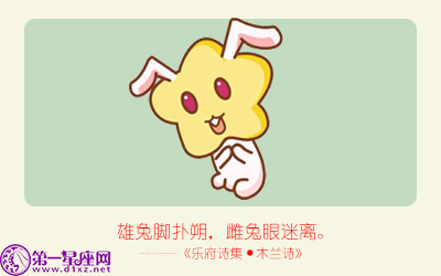 揭秘精準生肖，探尋神奇的數字組合777778與888888背后的生肖秘密，揭秘生肖秘密，數字組合777778與888888背后的生肖傳奇