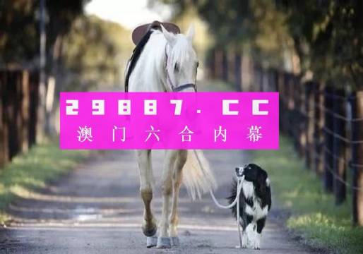 澳門彩的奧秘世界與SEO優化策略探討 —— www.04812com的獨家解析，澳門彩奧秘與SEO優化策略獨家解析，www.04812com深度探討