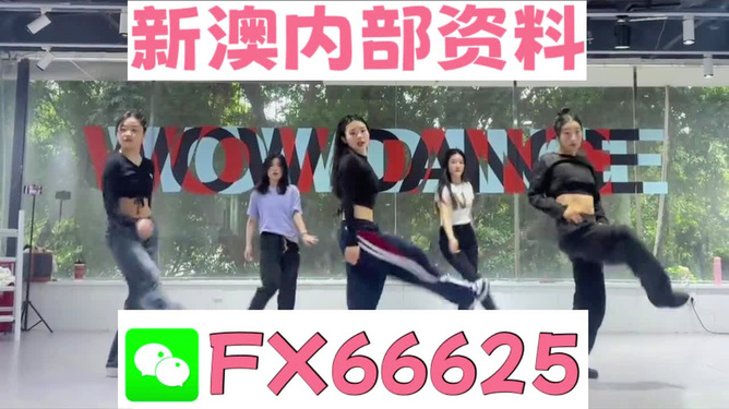 新澳最新版精準(zhǔn)特色，深度解析其優(yōu)勢與吸引力，新澳最新版特色解析，優(yōu)勢與吸引力深度探討