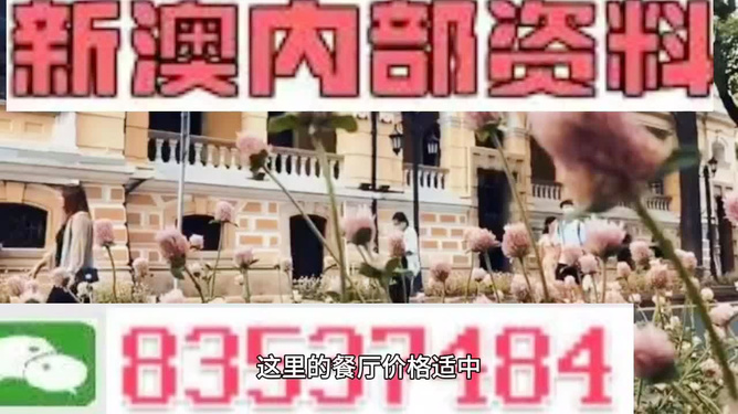 新澳門，探索最精準(zhǔn)、最快的信息更新速度，新澳門，追求最快速、精準(zhǔn)的信息更新之道