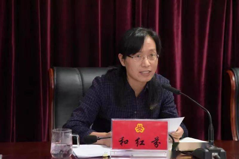 二四六香港期期中的資料解析與SEO優化策略，香港期期二四六資料解析與SEO優化策略探討