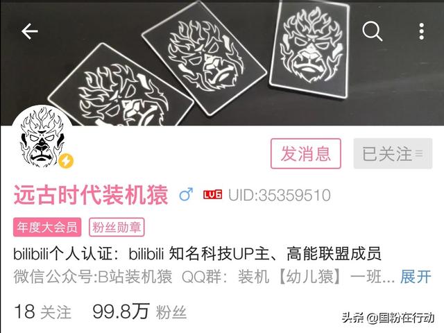 靈蛇網真相揭秘