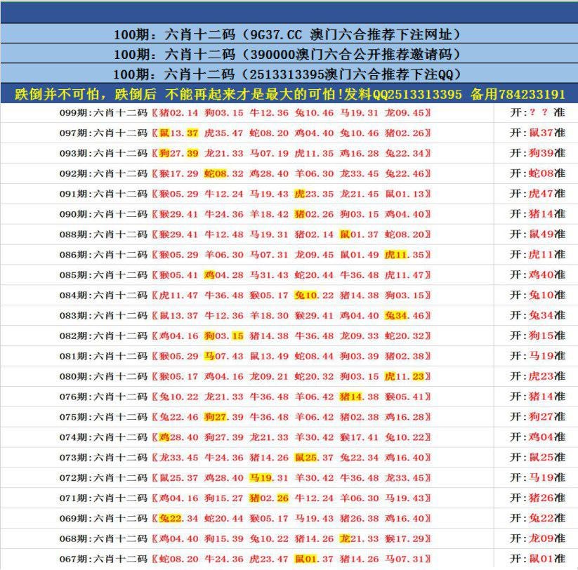 澳門無錯九肖今日搜狗，探索與解析，澳門無錯九肖今日搜狗，深度解析與探索