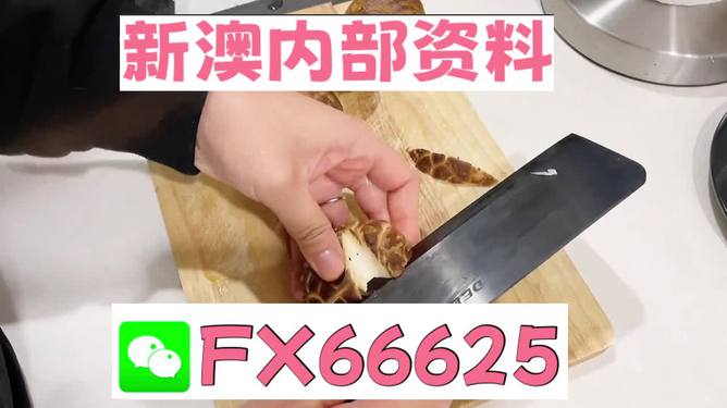 澳門九點半9點半網(wǎng)站——探索其魅力與優(yōu)勢，澳門九點半網(wǎng)站，魅力與優(yōu)勢探索