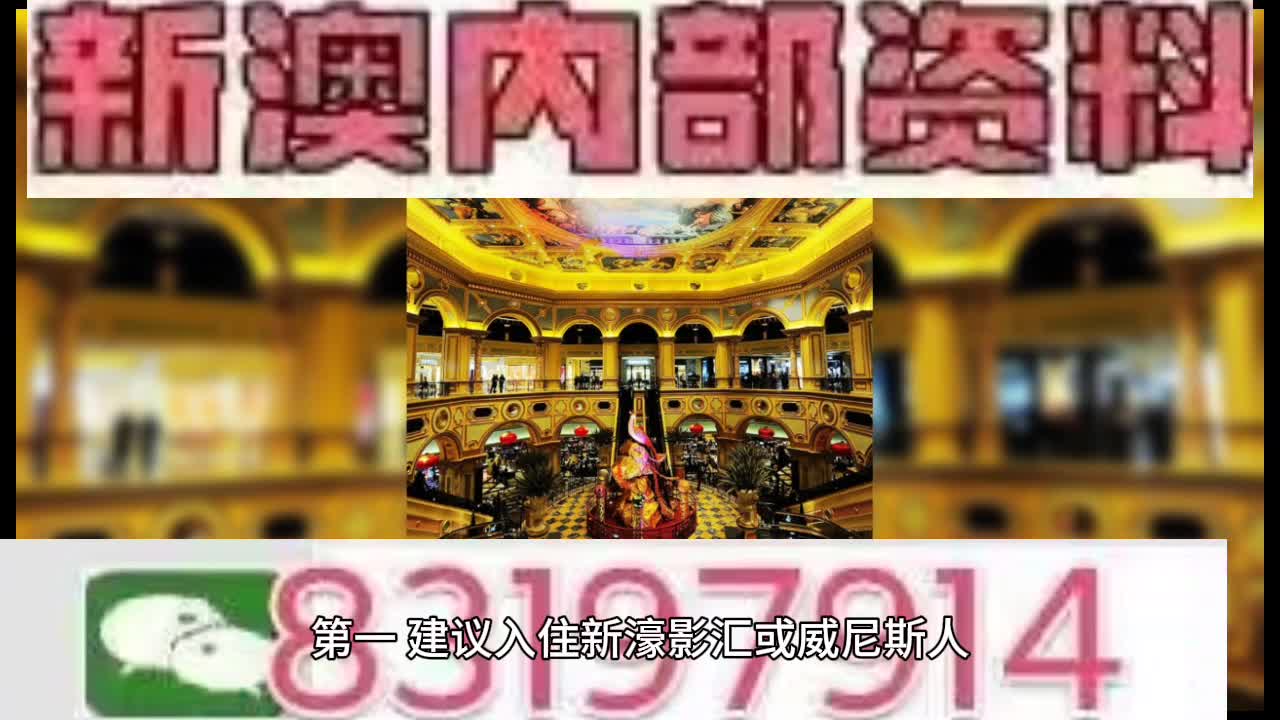 新澳門特馬王，探索與解析，新澳門特馬王，深度探索與解析
