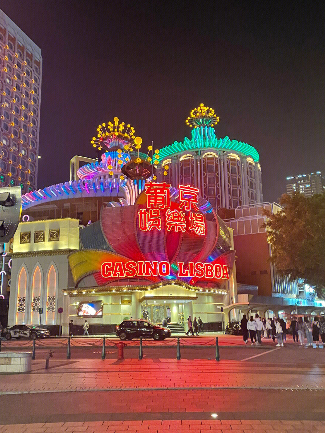 澳門今晚必開一肖一特芳草地，探索生肖與運勢的神秘面紗，澳門生肖運勢揭秘，探索今晚必開一肖一特芳草地神秘面紗的運勢之旅