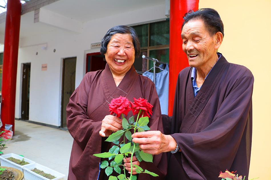 揭秘最準(zhǔn)一碼一肖，揭秘背后的秘密與真相，鳳凰網(wǎng)獨家報道，獨家揭秘，最準(zhǔn)一碼一肖背后的秘密真相（鳳凰網(wǎng)報道）