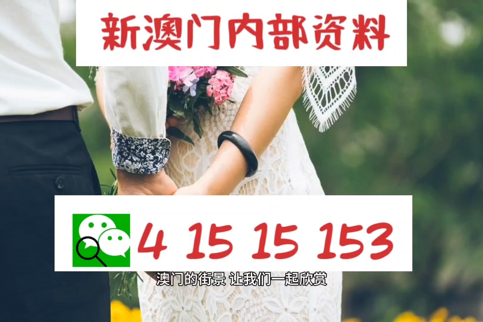 澳門特碼的開獎記錄