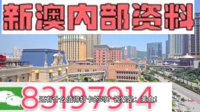 新澳門精準四肖期期中特公開下載，探索與解析，澳門精準四肖期期中特解析與探索，公開下載揭秘
